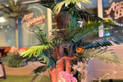 ABSIIMG_6626